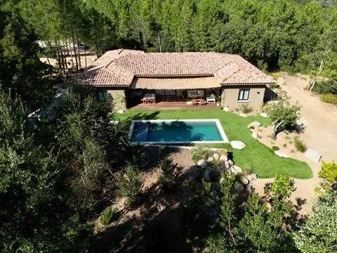 Avec Piscine Porto-vecchio Corsica *